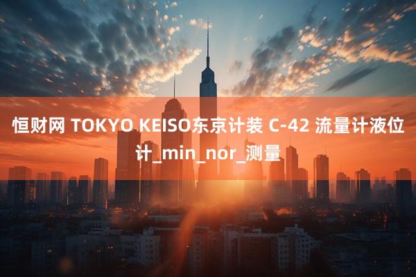 恒财网 TOKYO KEISO东京计装 C-42 流量计液位计_min_nor_测量