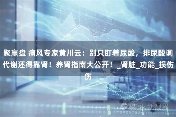 聚赢盘 痛风专家黄川云：别只盯着尿酸，排尿酸调代谢还得靠肾！养肾指南大公开！_肾脏_功能_损伤