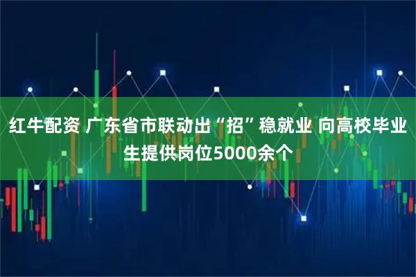 红牛配资 广东省市联动出“招”稳就业 向高校毕业生提供岗位5000余个