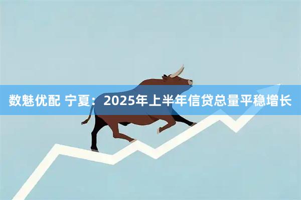 数魅优配 宁夏：2025年上半年信贷总量平稳增长