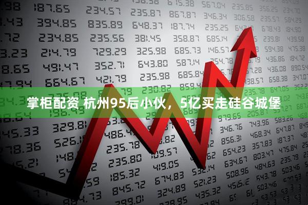掌柜配资 杭州95后小伙,5亿买走硅谷城堡